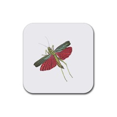 Grasshopper Insect Animal Isolated Rubber Coaster (square) 