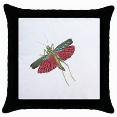 Grasshopper Insect Animal Isolated Throw Pillow Case (black) by Nexatart