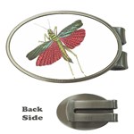 Grasshopper Insect Animal Isolated Money Clips (Oval)  Front