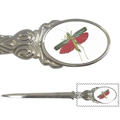 Grasshopper Insect Animal Isolated Letter Openers