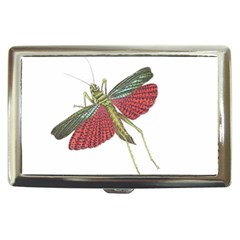 Grasshopper Insect Animal Isolated Cigarette Money Cases by Nexatart