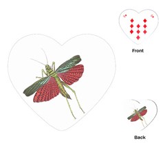 Grasshopper Insect Animal Isolated Playing Cards (heart)  by Nexatart