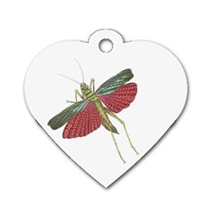 Grasshopper Insect Animal Isolated Dog Tag Heart (two Sides) by Nexatart