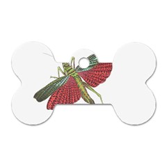 Grasshopper Insect Animal Isolated Dog Tag Bone (one Side)