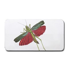 Grasshopper Insect Animal Isolated Medium Bar Mats by Nexatart