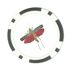 Grasshopper Insect Animal Isolated Poker Chip Card Guard by Nexatart