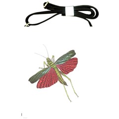 Grasshopper Insect Animal Isolated Shoulder Sling Bags