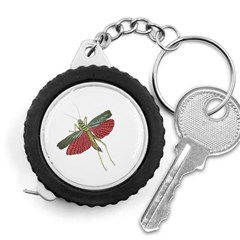 Grasshopper Insect Animal Isolated Measuring Tapes