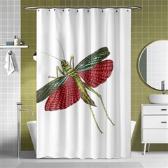 Grasshopper Insect Animal Isolated Shower Curtain 48  X 72  (small) 