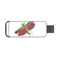 Grasshopper Insect Animal Isolated Portable Usb Flash (one Side)