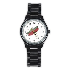 Grasshopper Insect Animal Isolated Stainless Steel Round Watch