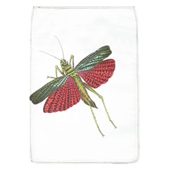 Grasshopper Insect Animal Isolated Flap Covers (l) 