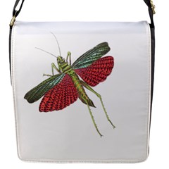 Grasshopper Insect Animal Isolated Flap Messenger Bag (s) by Nexatart