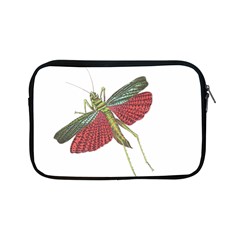 Grasshopper Insect Animal Isolated Apple Ipad Mini Zipper Cases by Nexatart