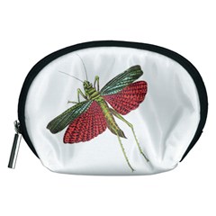 Grasshopper Insect Animal Isolated Accessory Pouches (medium)  by Nexatart