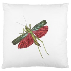 Grasshopper Insect Animal Isolated Large Flano Cushion Case (two Sides) by Nexatart