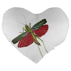 Grasshopper Insect Animal Isolated Large 19  Premium Flano Heart Shape Cushions by Nexatart