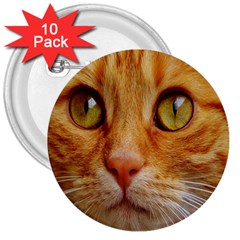 Cat Red Cute Mackerel Tiger Sweet 3  Buttons (10 Pack)  by Nexatart