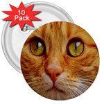 Cat Red Cute Mackerel Tiger Sweet 3  Buttons (10 pack)  Front