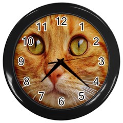 Cat Red Cute Mackerel Tiger Sweet Wall Clocks (black) by Nexatart