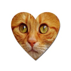 Cat Red Cute Mackerel Tiger Sweet Heart Magnet by Nexatart