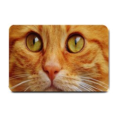 Cat Red Cute Mackerel Tiger Sweet Small Doormat  by Nexatart