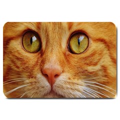 Cat Red Cute Mackerel Tiger Sweet Large Doormat  by Nexatart