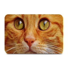 Cat Red Cute Mackerel Tiger Sweet Plate Mats by Nexatart