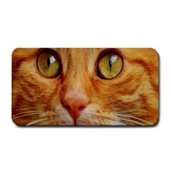 Cat Red Cute Mackerel Tiger Sweet Medium Bar Mats by Nexatart