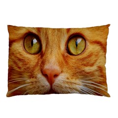 Cat Red Cute Mackerel Tiger Sweet Pillow Case by Nexatart