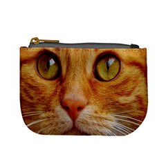 Cat Red Cute Mackerel Tiger Sweet Mini Coin Purses by Nexatart