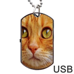 Cat Red Cute Mackerel Tiger Sweet Dog Tag Usb Flash (two Sides) by Nexatart