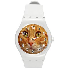 Cat Red Cute Mackerel Tiger Sweet Round Plastic Sport Watch (m) by Nexatart