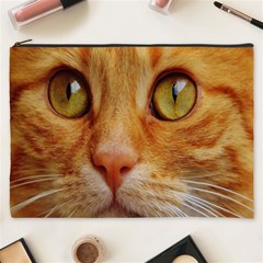 Cat Red Cute Mackerel Tiger Sweet Cosmetic Bag (xxxl)  by Nexatart