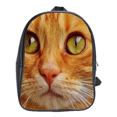 Cat Red Cute Mackerel Tiger Sweet School Bags (xl)  by Nexatart