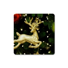 December Christmas Cologne Square Magnet by Nexatart