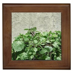 Plants Against Concrete Wall Background Framed Tiles