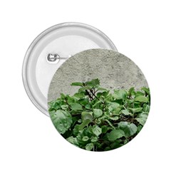 Plants Against Concrete Wall Background 2.25  Buttons