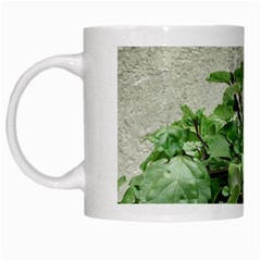 Plants Against Concrete Wall Background White Mugs