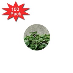 Plants Against Concrete Wall Background 1  Mini Buttons (100 pack) 