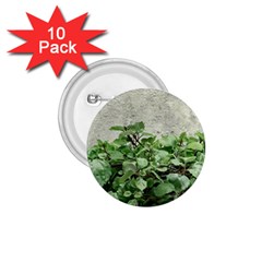 Plants Against Concrete Wall Background 1.75  Buttons (10 pack)