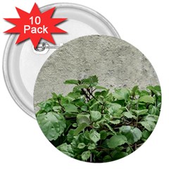 Plants Against Concrete Wall Background 3  Buttons (10 pack) 