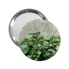 Plants Against Concrete Wall Background 2.25  Handbag Mirrors