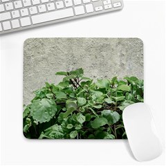 Plants Against Concrete Wall Background Large Mousepads