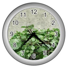 Plants Against Concrete Wall Background Wall Clocks (Silver) 