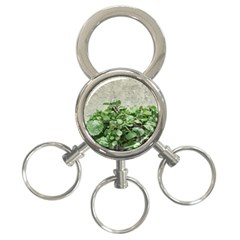 Plants Against Concrete Wall Background 3-Ring Key Chains