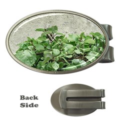 Plants Against Concrete Wall Background Money Clips (oval)  by dflcprints