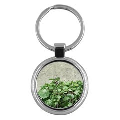 Plants Against Concrete Wall Background Key Chains (Round) 