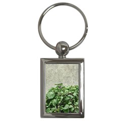 Plants Against Concrete Wall Background Key Chains (Rectangle) 