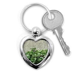 Plants Against Concrete Wall Background Key Chains (Heart) 